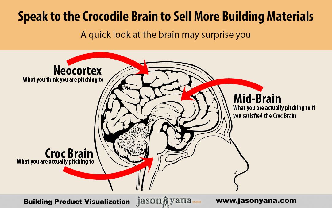 Speak to the Crocodile Brain to Market & Sell Building Materials Effectively